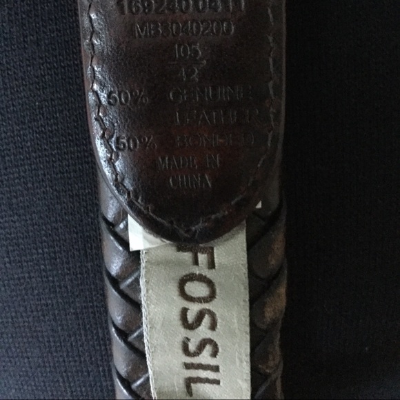 Fossil Belt - Picture 9 of 9